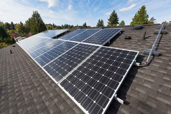 Renewable Energy Plants